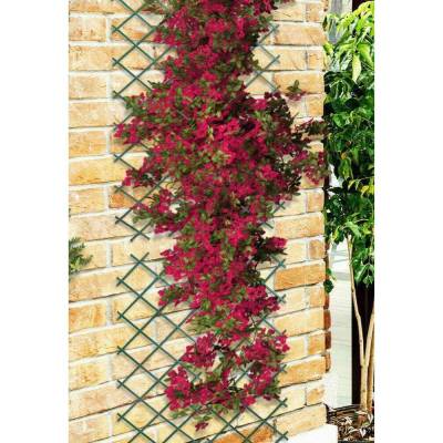 Grigliati e pannelli - Traliccio estensibile in Legno 180x45 cm a m...