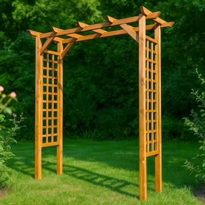 Pergola per Rosai 210x49x220 cm in legno impregnato